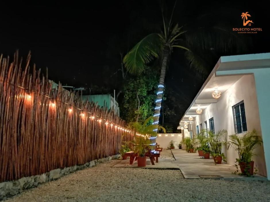 Hotel Apartaments Solecito Bacalar - Free Bikes & Paddle Eksteriør bilde